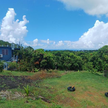 Rooster Run Glamping Camping Has Rooftop And Off The Ground Glamping Experience For 1 To 16 In A Single Tent And Views Of The Rain Forrest And To Culebra Across The Atlantic Ocean W Tents, Linens, Deluxe Air Beds, Warm Shower And More At A Great Pric ビエケス エクステリア 写真