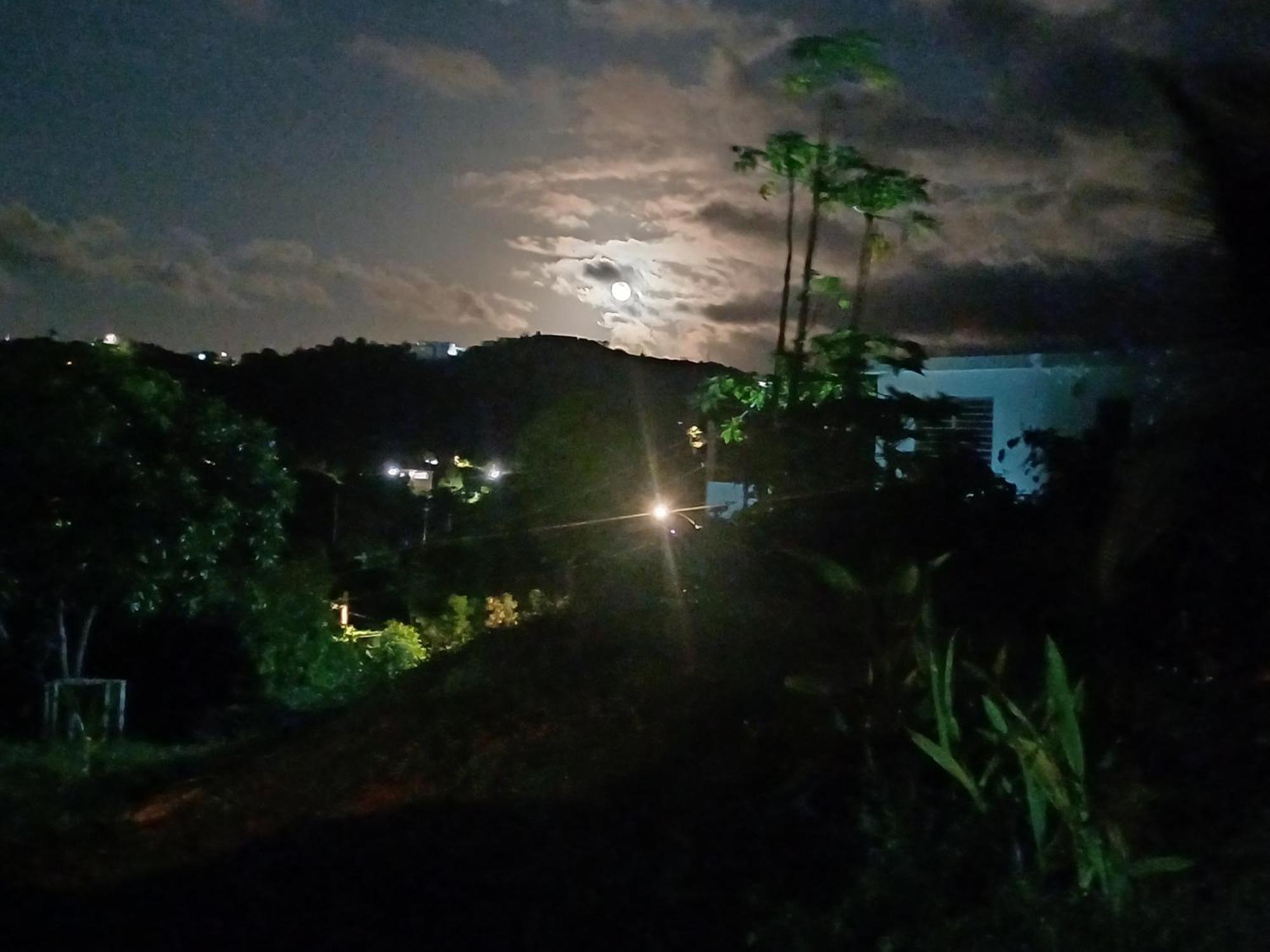Rooster Run Glamping Camping Has Rooftop And Off The Ground Glamping Experience For 1 To 16 In A Single Tent And Views Of The Rain Forrest And To Culebra Across The Atlantic Ocean W Tents, Linens, Deluxe Air Beds, Warm Shower And More At A Great Pric ビエケス エクステリア 写真