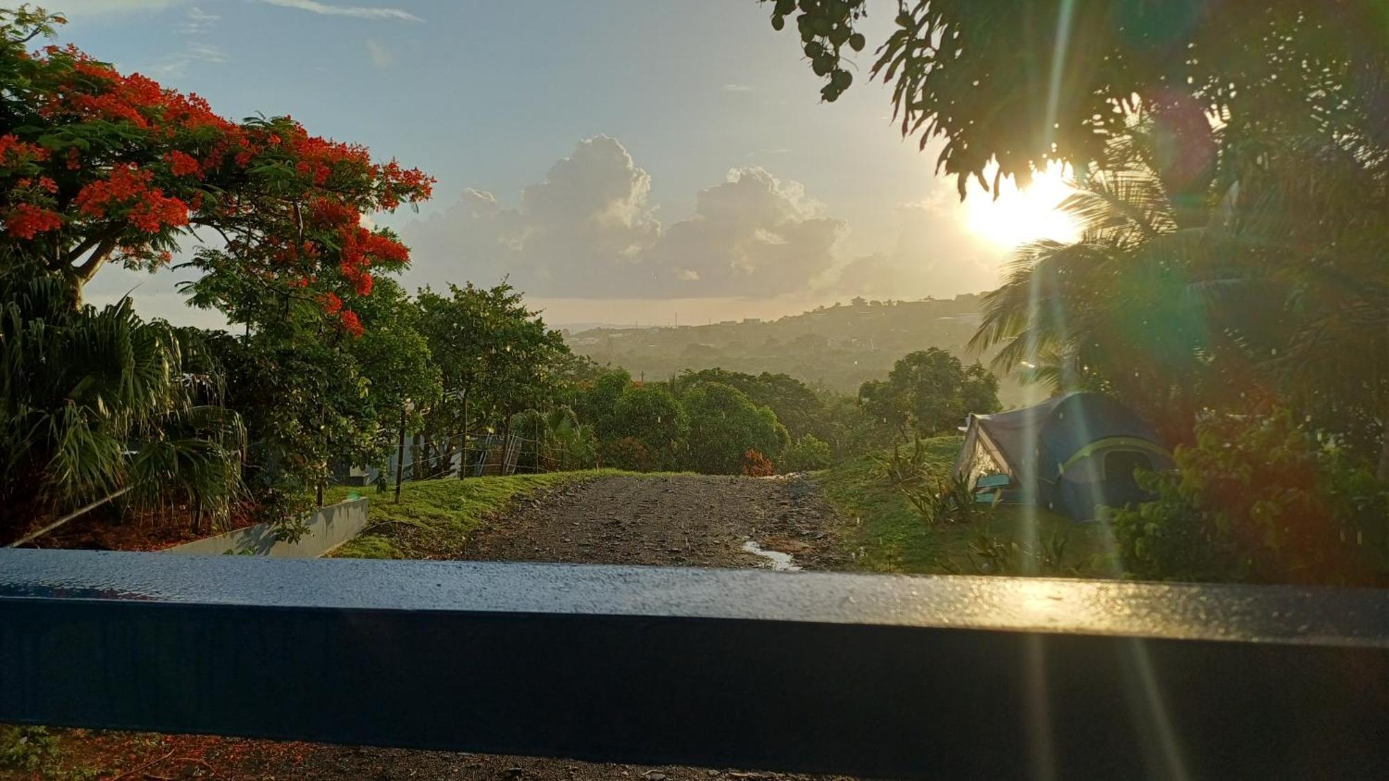 Rooster Run Glamping Camping Has Rooftop And Off The Ground Glamping Experience For 1 To 16 In A Single Tent And Views Of The Rain Forrest And To Culebra Across The Atlantic Ocean W Tents, Linens, Deluxe Air Beds, Warm Shower And More At A Great Pric ビエケス エクステリア 写真