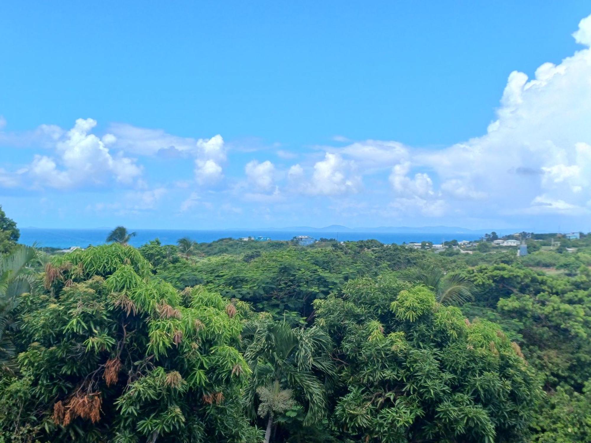 Rooster Run Glamping Camping Has Rooftop And Off The Ground Glamping Experience For 1 To 16 In A Single Tent And Views Of The Rain Forrest And To Culebra Across The Atlantic Ocean W Tents, Linens, Deluxe Air Beds, Warm Shower And More At A Great Pric ビエケス エクステリア 写真