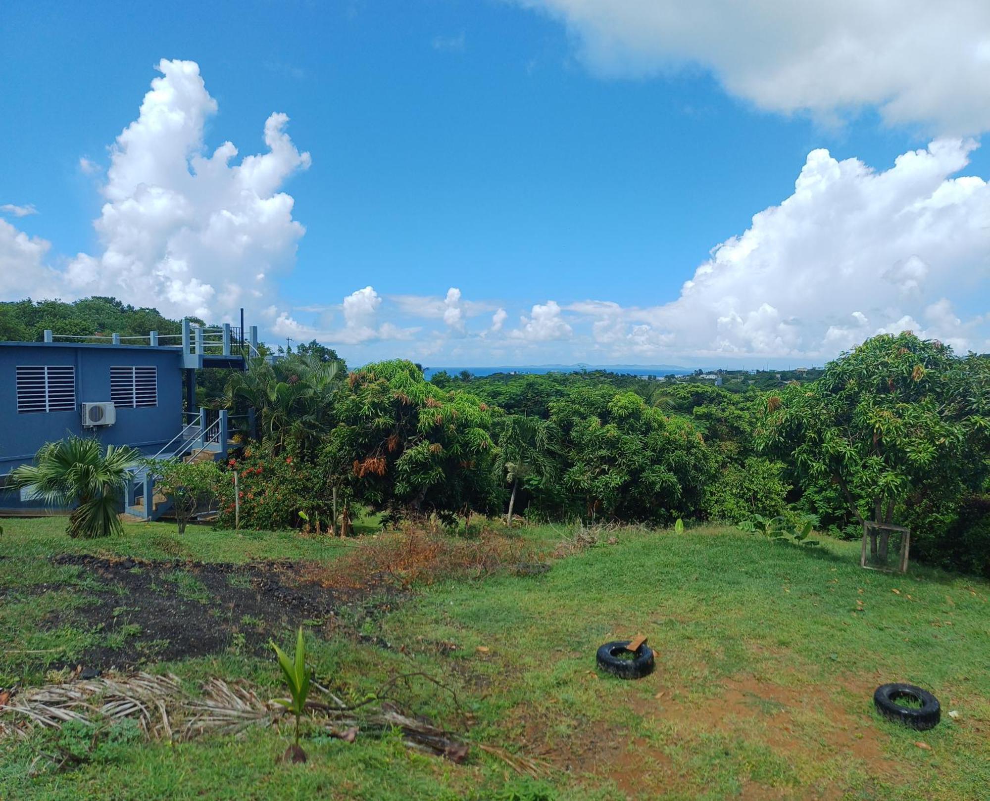 Rooster Run Glamping Camping Has Rooftop And Off The Ground Glamping Experience For 1 To 16 In A Single Tent And Views Of The Rain Forrest And To Culebra Across The Atlantic Ocean W Tents, Linens, Deluxe Air Beds, Warm Shower And More At A Great Pric ビエケス エクステリア 写真