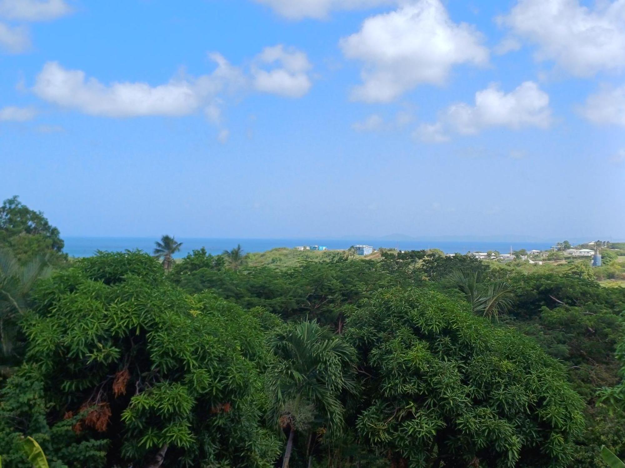 Rooster Run Glamping Camping Has Rooftop And Off The Ground Glamping Experience For 1 To 16 In A Single Tent And Views Of The Rain Forrest And To Culebra Across The Atlantic Ocean W Tents, Linens, Deluxe Air Beds, Warm Shower And More At A Great Pric ビエケス エクステリア 写真