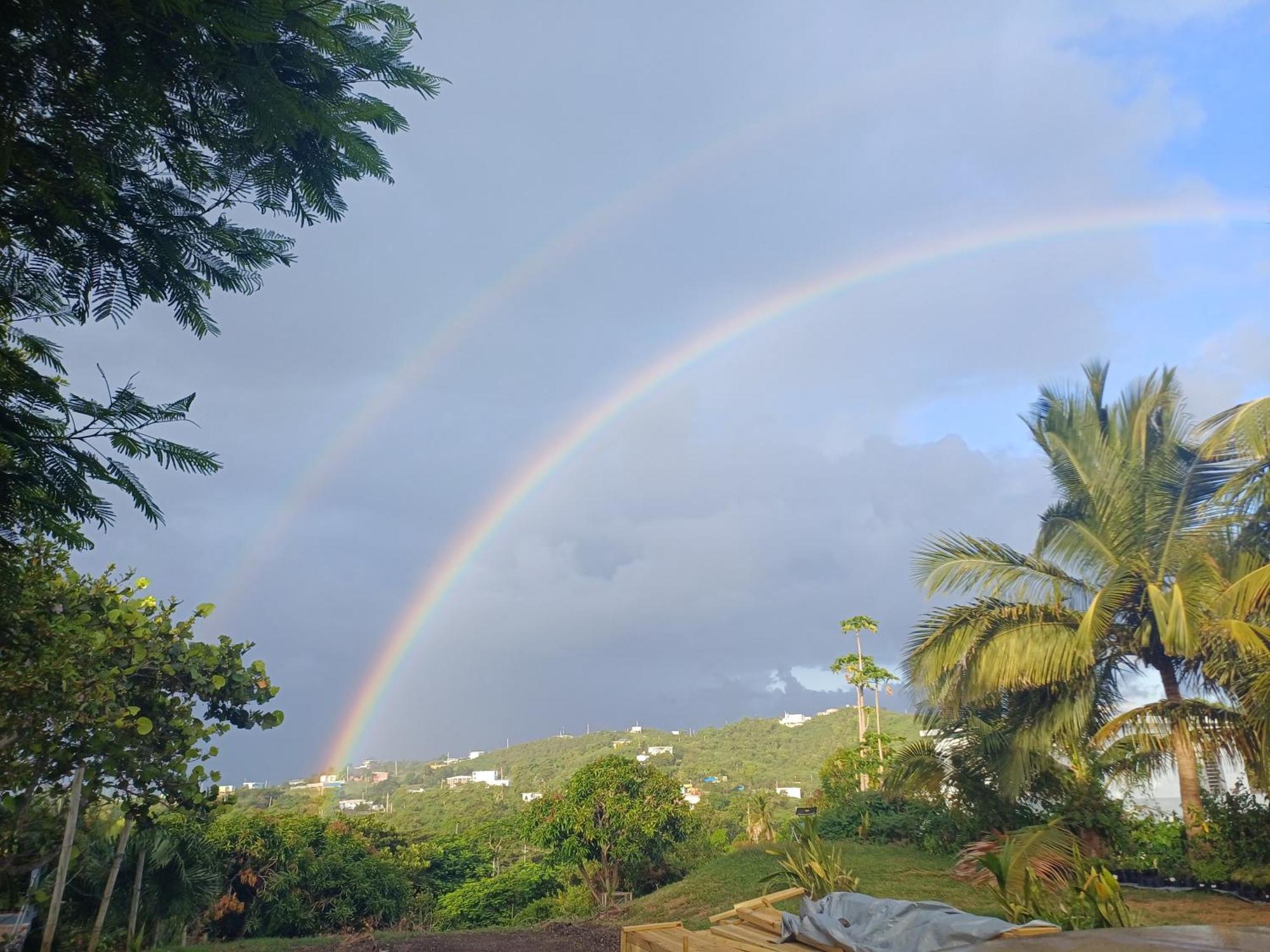 Rooster Run Glamping Camping Has Rooftop And Off The Ground Glamping Experience For 1 To 16 In A Single Tent And Views Of The Rain Forrest And To Culebra Across The Atlantic Ocean W Tents, Linens, Deluxe Air Beds, Warm Shower And More At A Great Pric ビエケス エクステリア 写真