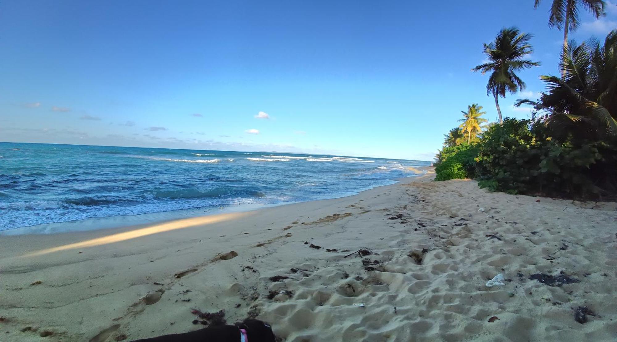 Rooster Run Glamping Camping Has Rooftop And Off The Ground Glamping Experience For 1 To 16 In A Single Tent And Views Of The Rain Forrest And To Culebra Across The Atlantic Ocean W Tents, Linens, Deluxe Air Beds, Warm Shower And More At A Great Pric ビエケス エクステリア 写真