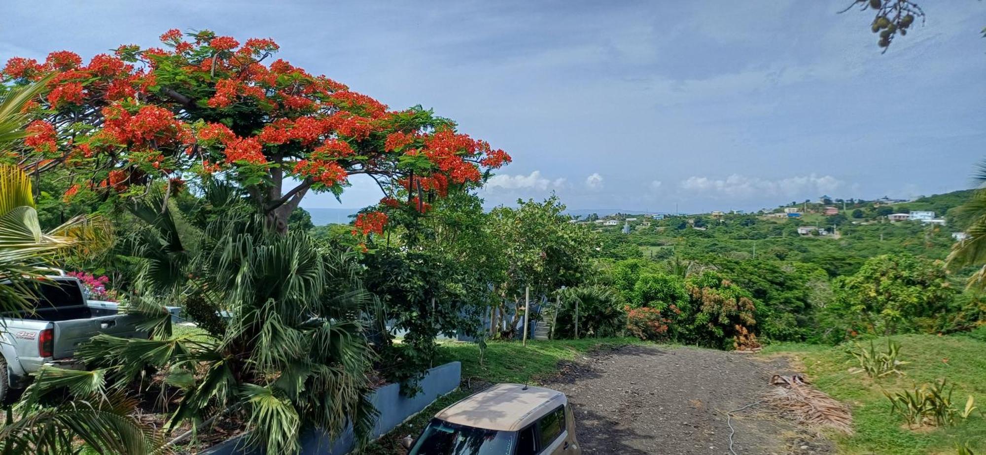Rooster Run Glamping Camping Has Rooftop And Off The Ground Glamping Experience For 1 To 16 In A Single Tent And Views Of The Rain Forrest And To Culebra Across The Atlantic Ocean W Tents, Linens, Deluxe Air Beds, Warm Shower And More At A Great Pric ビエケス エクステリア 写真
