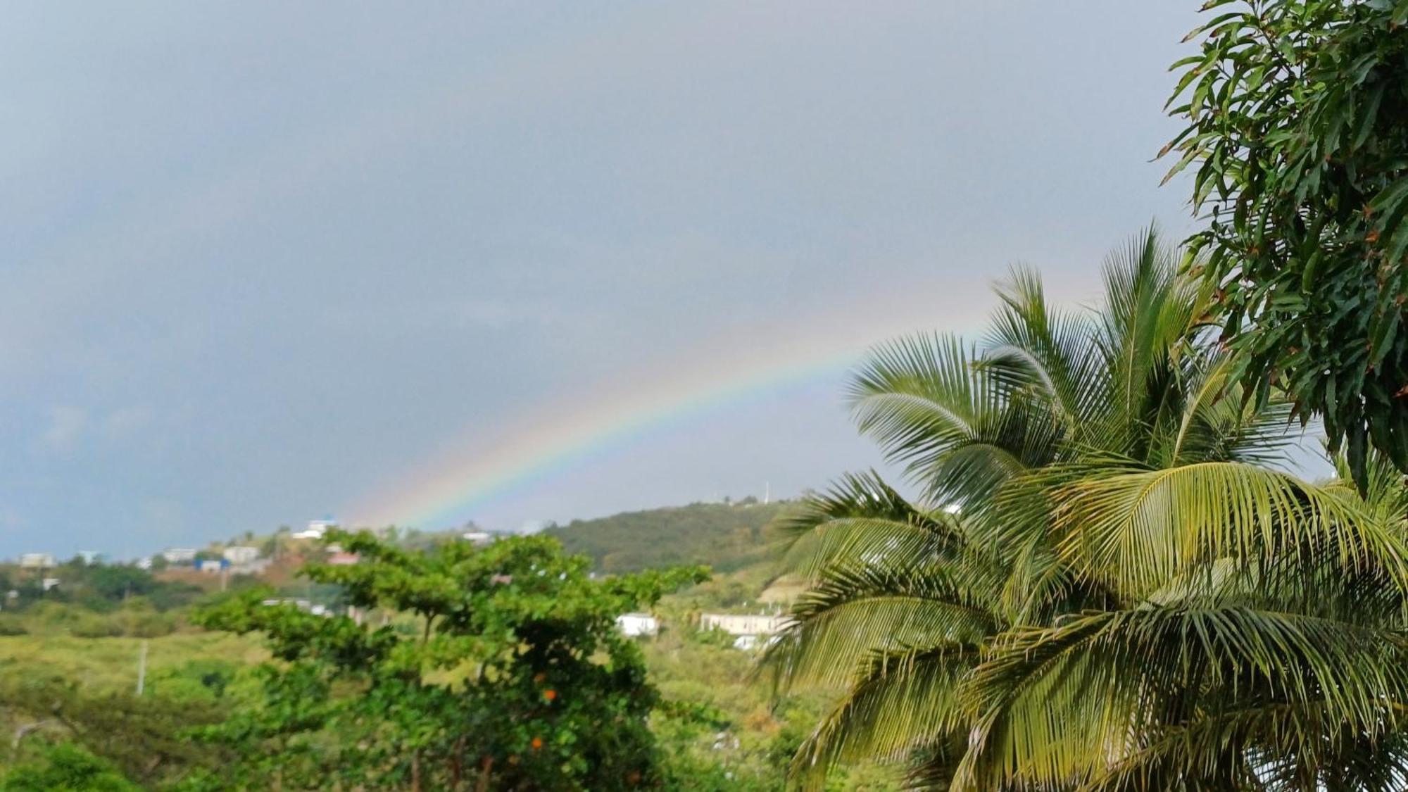 Rooster Run Glamping Camping Has Rooftop And Off The Ground Glamping Experience For 1 To 16 In A Single Tent And Views Of The Rain Forrest And To Culebra Across The Atlantic Ocean W Tents, Linens, Deluxe Air Beds, Warm Shower And More At A Great Pric ビエケス エクステリア 写真