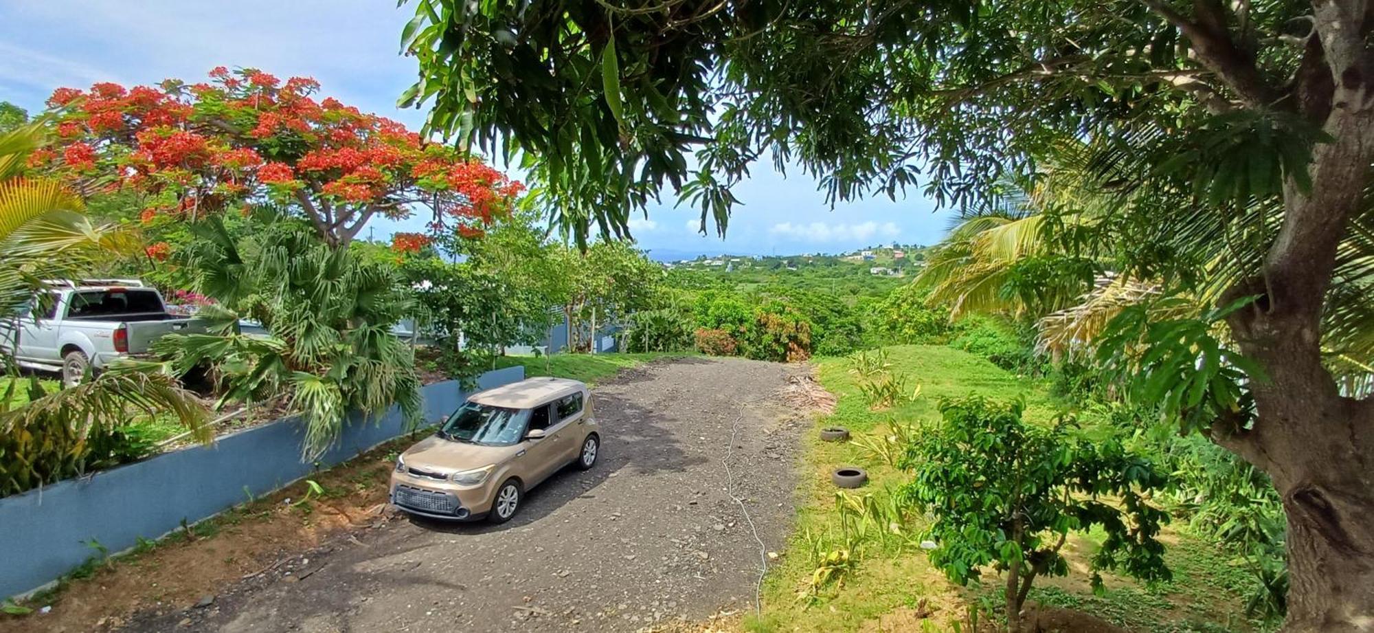 Rooster Run Glamping Camping Has Rooftop And Off The Ground Glamping Experience For 1 To 16 In A Single Tent And Views Of The Rain Forrest And To Culebra Across The Atlantic Ocean W Tents, Linens, Deluxe Air Beds, Warm Shower And More At A Great Pric ビエケス エクステリア 写真