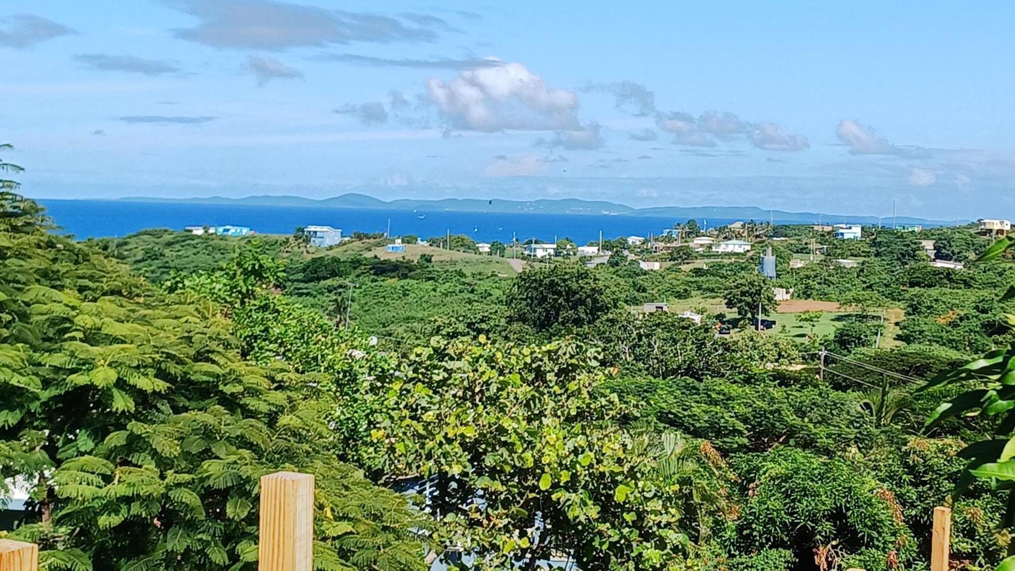 Rooster Run Glamping Camping Has Rooftop And Off The Ground Glamping Experience For 1 To 16 In A Single Tent And Views Of The Rain Forrest And To Culebra Across The Atlantic Ocean W Tents, Linens, Deluxe Air Beds, Warm Shower And More At A Great Pric ビエケス エクステリア 写真
